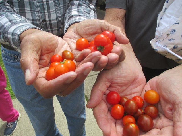 ARBORS AT STOW - Skilled Nursing Facility photo in STOW, OH